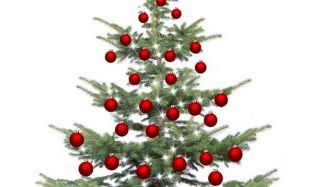 Sammelstellen für Weihnachtsbäume in Schwerin