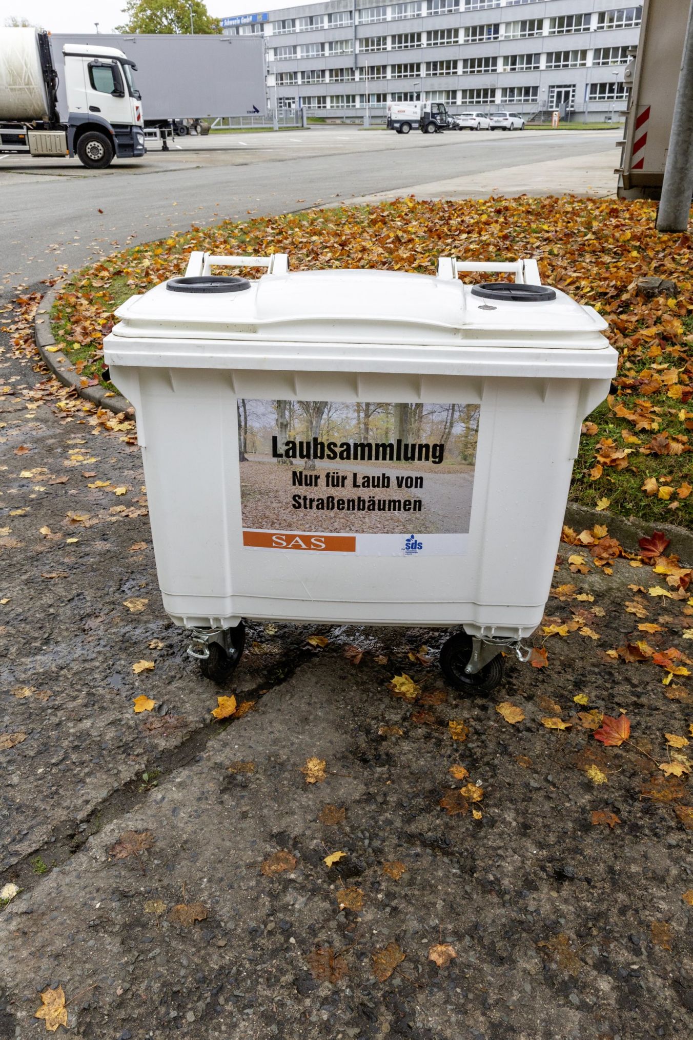 SAS stellt Kleingärtnern und Privathaushalten zusätzliche Absetzcontainer für Laub und Grünschnitt zur Verfügung