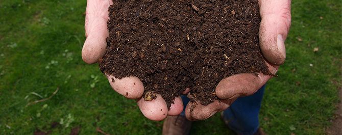 Gartenprodukte