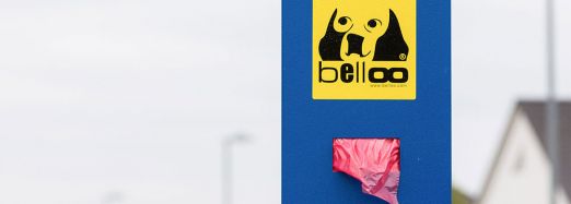 Rote Hundekotbeutel werden getestet. Foto: maxpress/srk