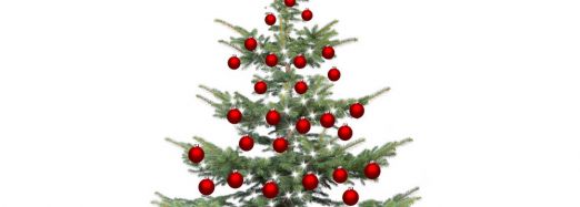 Sammelstellen für Weihnachtsbäume in Schwerin